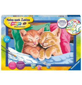 Ravenburger 28986 Malen nach Zahlen Verschmuste Kätzchen Malen nach Zahlen Serie C