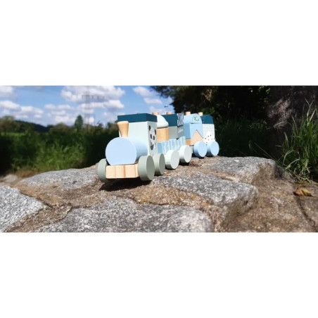 Eichhorn Holzzug 16-tlg.