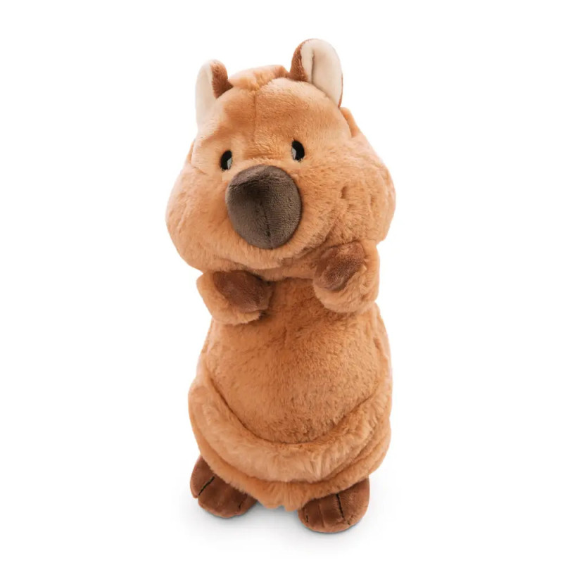 Braunes Plüsch-Wombat steht aufrecht, hat kleine Ohren und eine runde Nase. Braunes Plüsch-Wombat steht aufrecht, hat kleine Ohren und eine runde Nase.