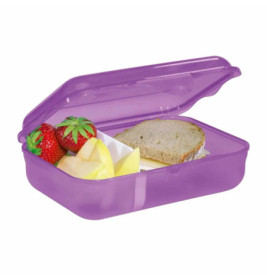 Lunchbox Dreamy Pegasus Shadow , Lila