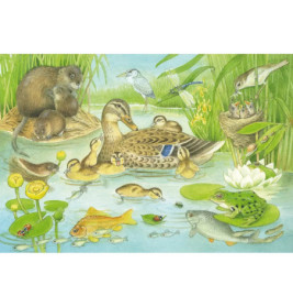 Schmidt Spiele Kinderpuzzle Tierfamilien, 3x48 Teile