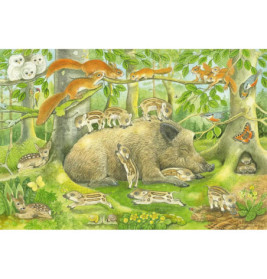 Schmidt Spiele Kinderpuzzle Tierfamilien, 3x48 Teile