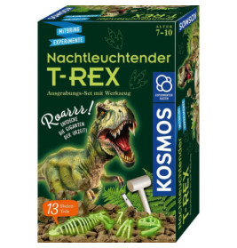 Box eines leuchtenden T-Rex-Ausgrabungssets für Kinder mit Dino-Abbildung und Grabwerkzeugen.