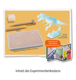 Kosmos Nachtleuchtender T-REX