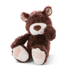 Brauner Plüsch-Teddybär sitzt mit erhobener Pfote, weißer Schnauze und Füßen auf weißem Hintergrund.