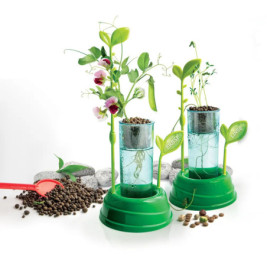 Clementoni Galileo- Botanik und Hydrokultur