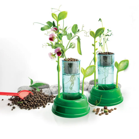 Clementoni Galileo- Botanik und Hydrokultur