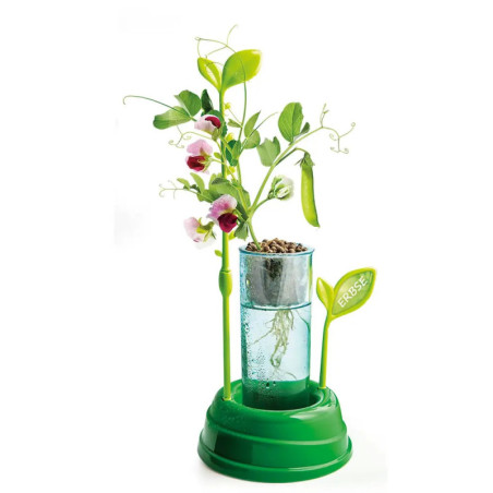 Clementoni Galileo- Botanik und Hydrokultur