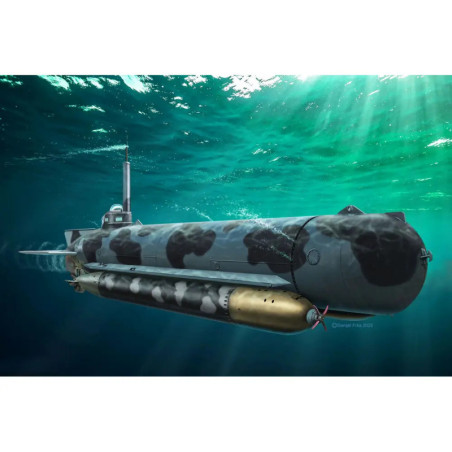 German Midget Submarine Type Molch