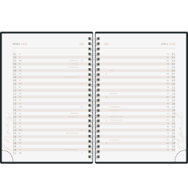 BK YoungLine A5 Focus 2S/1W 2026