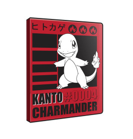 POK Charmander 9 Pocket Portfolio