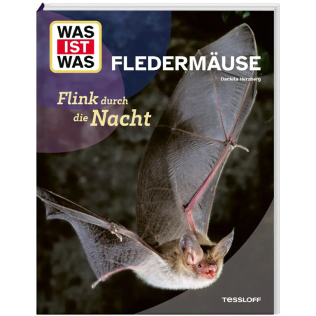 Buchcover mit fliegender Fledermaus und deutschem Titel Fledermäuse.