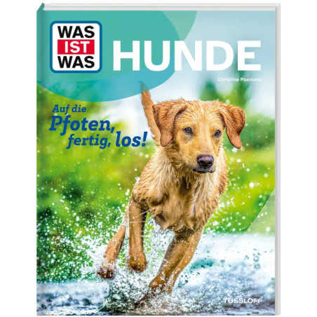 Buchcover mit nassem, goldenem Hund im Wasser und deutschem Titel über Hunde sowie verspieltem Slogan.