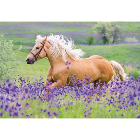Ein Palomino-Pferd läuft durch ein Feld lila Wildblumen, im Hintergrund sind grüne Hügel zu sehen.