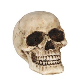 TOTENKOPF AUS HARZ 8 CMS