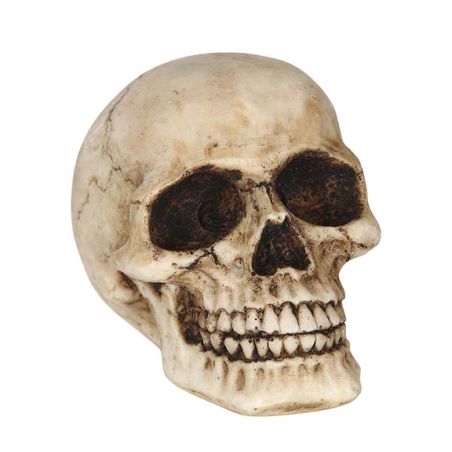 TOTENKOPF AUS HARZ 8 CMS