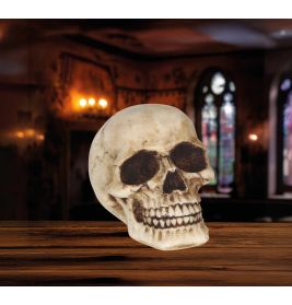 TOTENKOPF AUS HARZ 8 CMS