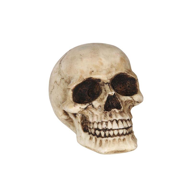 TOTENKOPF AUS HARZ 8 CMS
