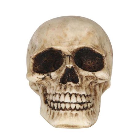 TOTENKOPF AUS HARZ 8 CMS