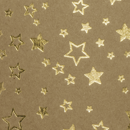 Karton Block Weihnachssterne