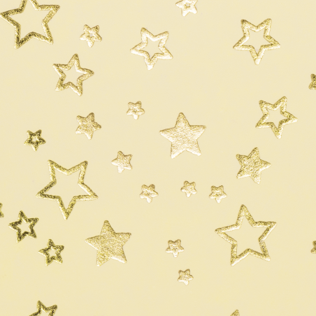 Karton Block Weihnachssterne