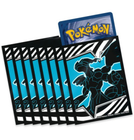Pokemon KP10.5 Top-Trainer-Box Schwarz