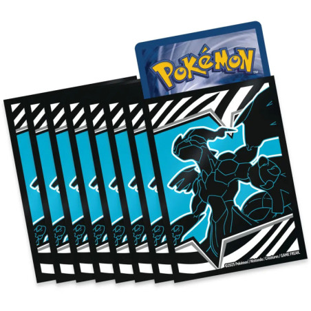 Pokemon KP10.5 Top-Trainer-Box Schwarz