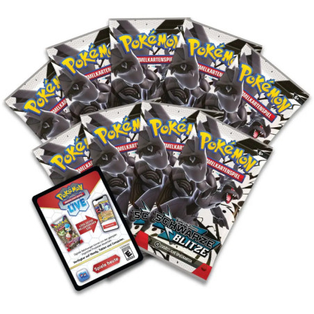 Pokemon KP10.5 Top-Trainer-Box Schwarz