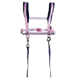 Lila-rosa Reithalfter mit verstellbaren Riemen und Metallclips, speziell für den Pferdesport entwickelt.