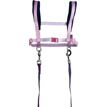 Lila-rosa Reithalfter mit verstellbaren Riemen und Metallclips, speziell für den Pferdesport entwickelt.