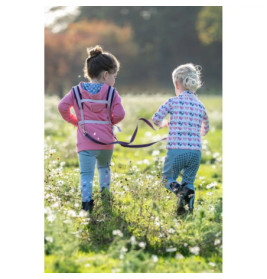 Pferdegeschirr Funny Horses Hearts rosa