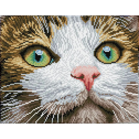 Nahaufnahme eines Katzenkopfes mit grünen Augen, rosa Nase und detailliertem Fell im Mosaik- oder Pixel-Art-Stil. Nahaufnahme eines Katzenkopfes mit grünen Augen, rosa Nase und detailliertem Fell im Mosaik- oder Pixel-Art-Stil.