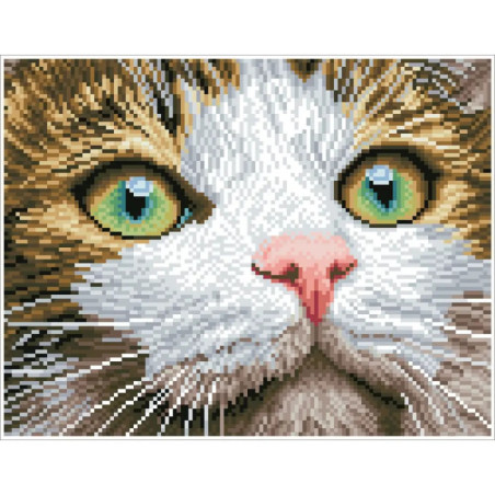 Diamond Painting Katze mit grünen Augen Diamond Painting Katze mit grünen Augen