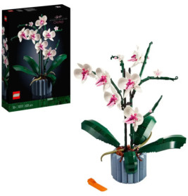 LEGO Orchideen-Set mit gebautem Modell, Verpackung und orangefarbenem Steintrenner abgebildet.