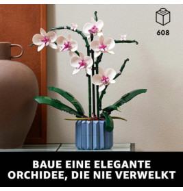 10311 Orchidee