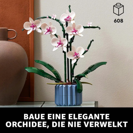 10311 Orchidee