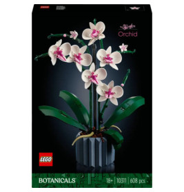 10311 Orchidee