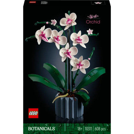 10311 Orchidee