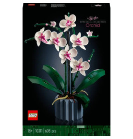 10311 Orchidee