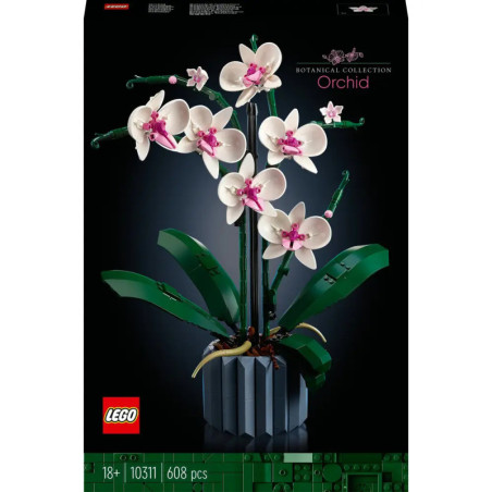 10311 Orchidee