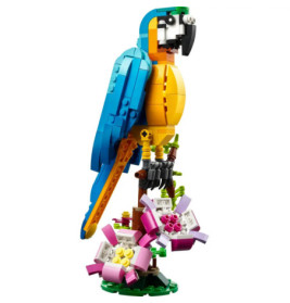 31136 Exotischer Papagei