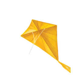 Kites