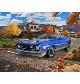 Model Set  71 Ford Mustang Boss 351 , Revell Modellbausatz mit Basiszubehör