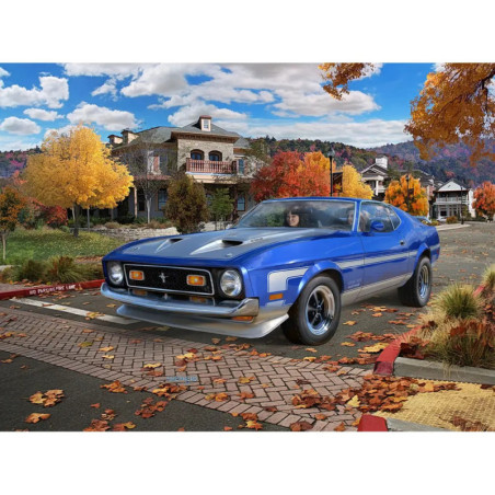 Model Set  71 Ford Mustang Boss 351 , Revell Modellbausatz mit Basiszubehör
