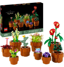LEGO-Set mit kleinen Pflanzen in Töpfen, im Hintergrund die Verpackung mit den fertigen Modellen.