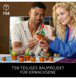 10329 Mini Pflanzen