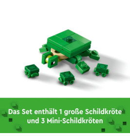 21254 Das Schildkrötenstrandhaus