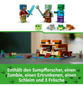 21256 Das Froschhaus