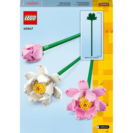 40647 Lotusblumen