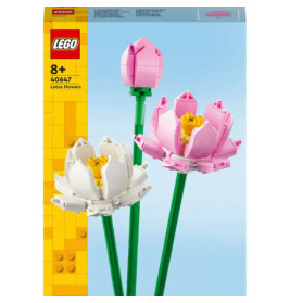 40647 Lotusblumen